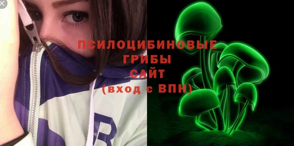 твердый Дмитров