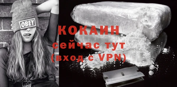 твердый Дмитров