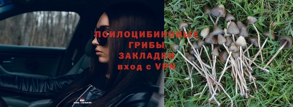 твердый Дмитров