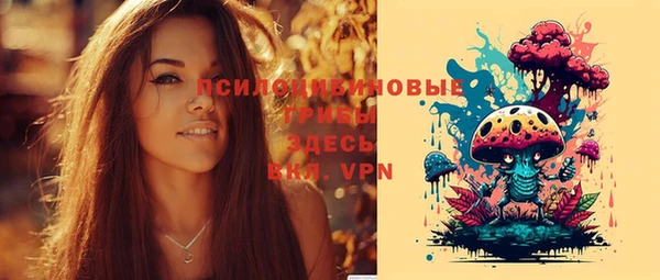 твердый Дмитров