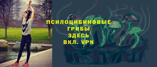твердый Дмитров