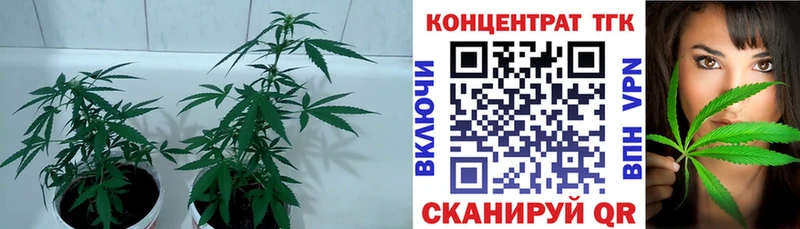 Купить где  Чаплыгин  Дистиллят ТГК Wax 