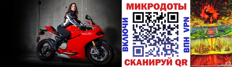 Купить где  Чаплыгин  Галлюциногенные грибы мухоморы 
