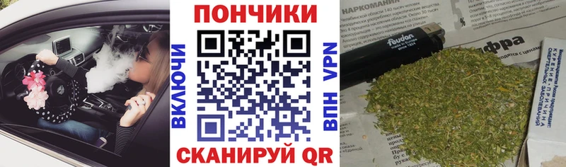 Купить закладки  Чаплыгин  Канабис индика 